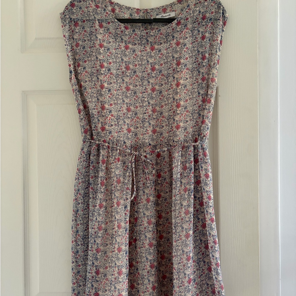 Madewell Sheer Floral Babydoll Dress- Pink and Blue